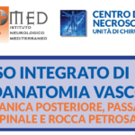 CORSO INTEGRATO DI NEUROANATOMIA VASCOLARE