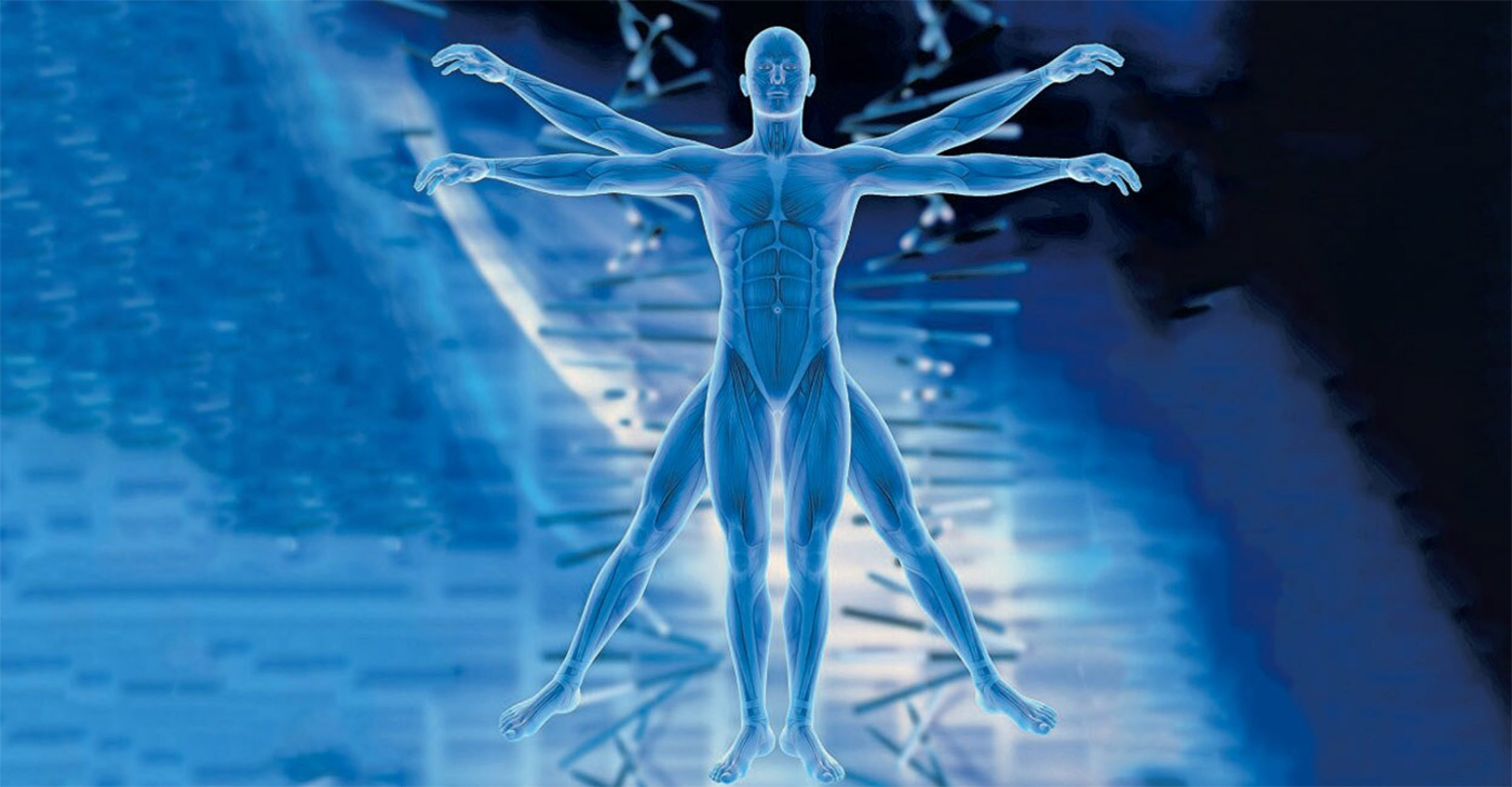 CadaverLab G. Cantore